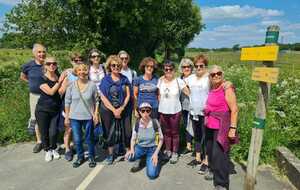 ACTIVITES EXTERIEURES : Longe-Côte, Marche Active, Marche Nordique