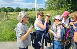 MARCHE ACTIVE AVEC STEPHANIE