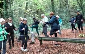 MARCHE NORDIQUE AVEC JORDAN