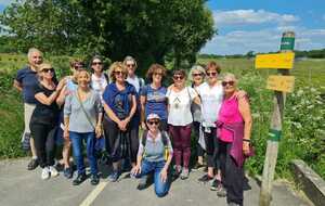 MARCHE ACTIVE
