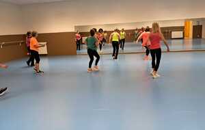 ACTIVITES TONIQUES : GYM DYNAMIQUE, BODY-DANCE,